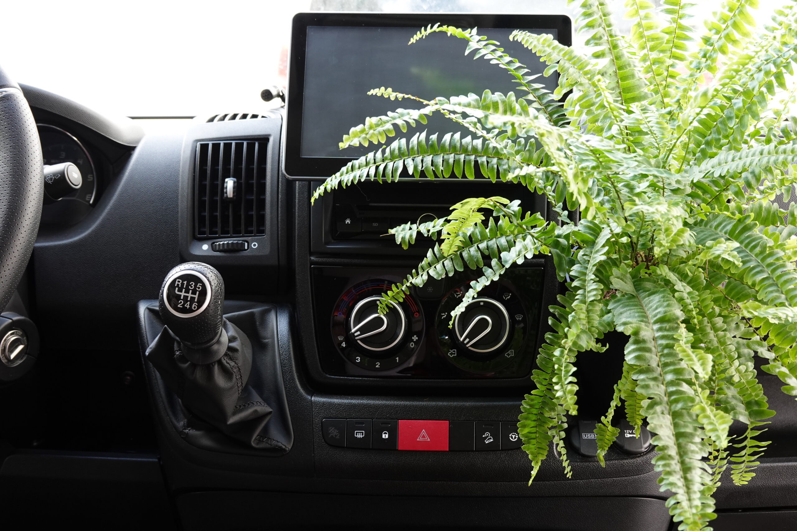 Camperflower_Cumulumbus_Pflanze_Campervan_Ducato_Blumentopf_1 Camperflower camper blumentopf mit einem Farn bepflanzt