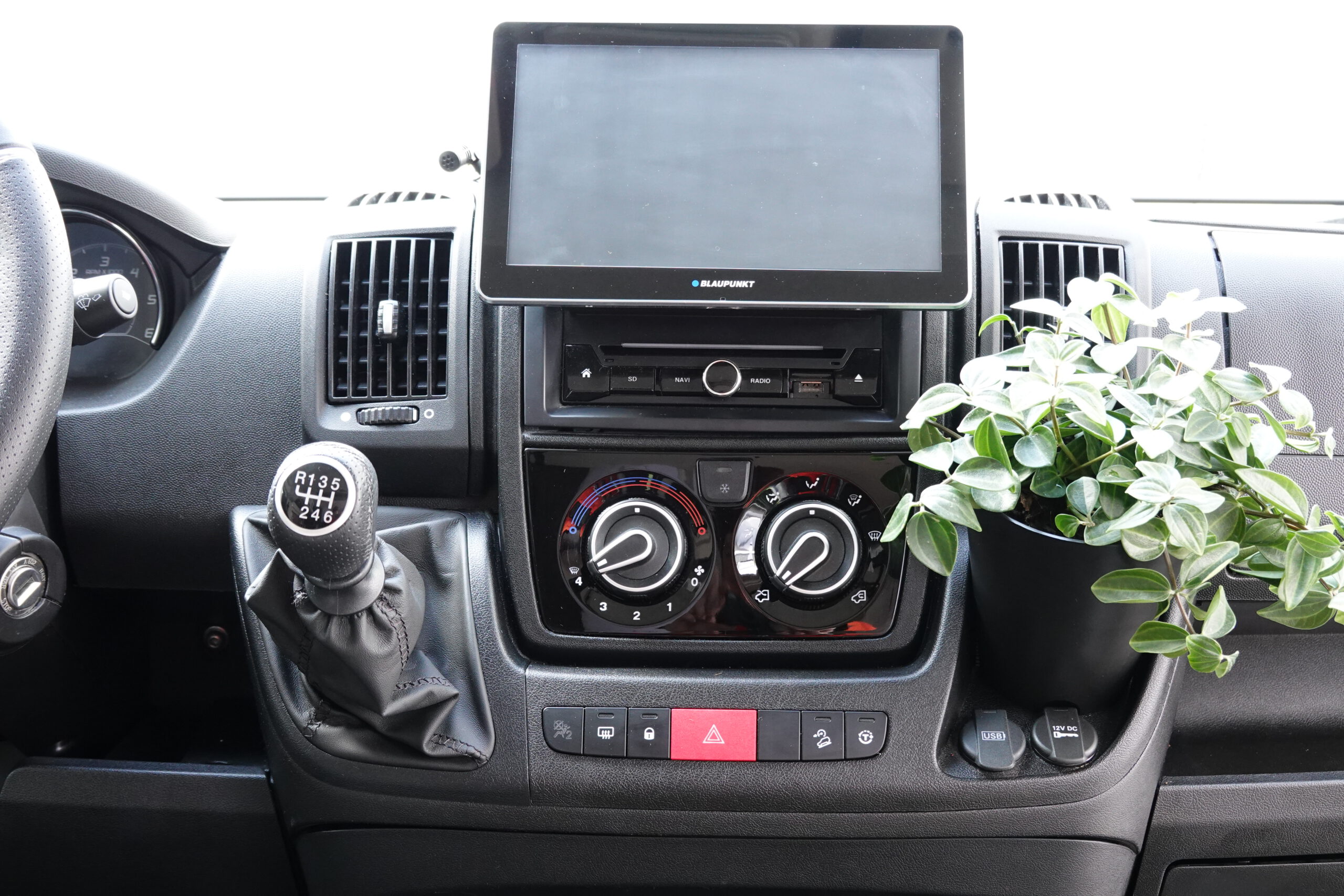 Camperflower_Cumulumbus_Pflanze_Campervan_Ducato_Blumentopf_5 Camperflower Camper Blumentopf im Cockpit eines Fiat Ducato Kastenwagen Camper mit einer Pflanze bepflanzt