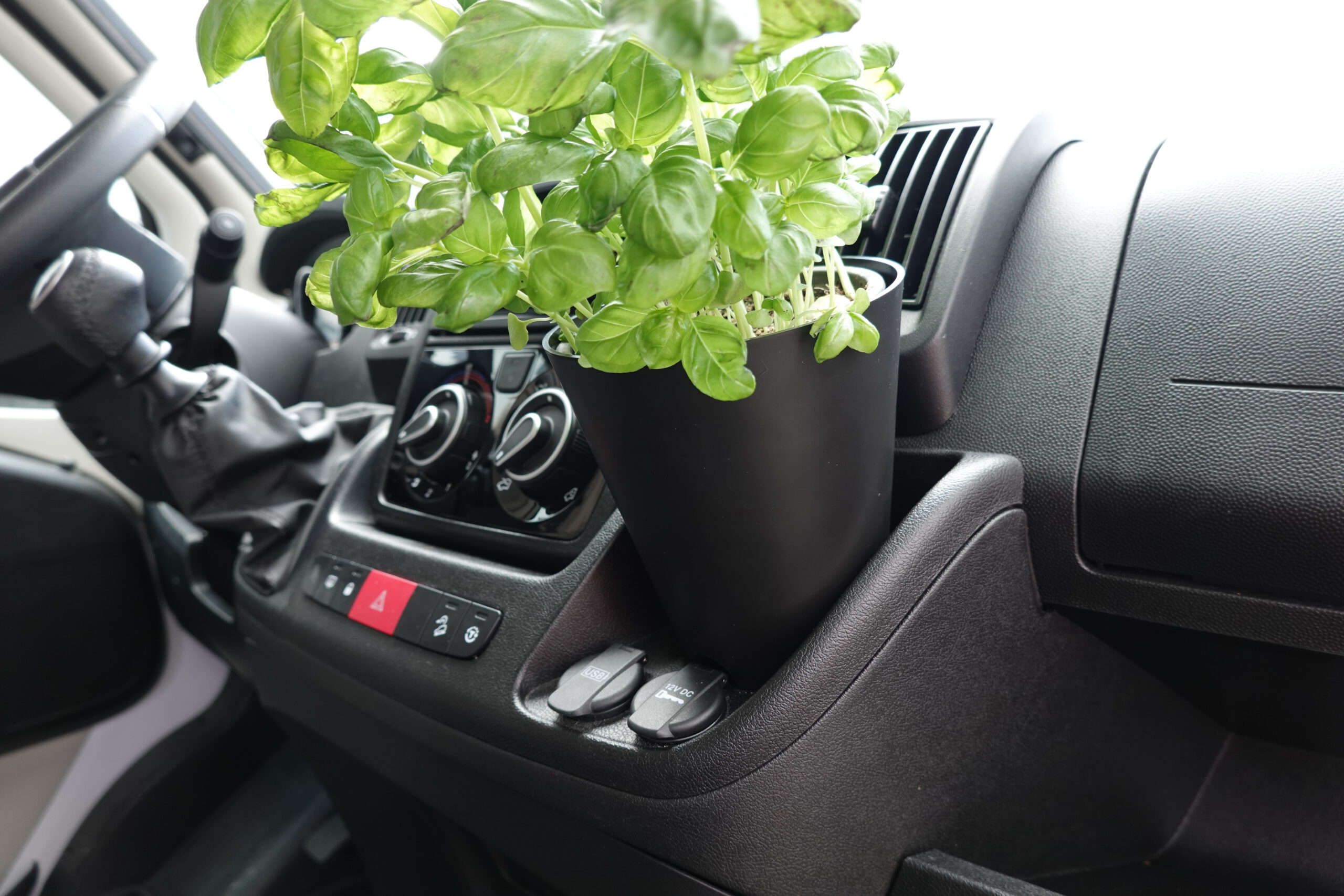 Camperflower_Cumulumbus_Pflanze_Campervan_Fiat_Ducato_Blumentopf_Cockpit Camperflower Camper Blumentopf im Cockpit eines Fiat Ducato Kastenwagen Camper mit einem Basilikum bepflanzt