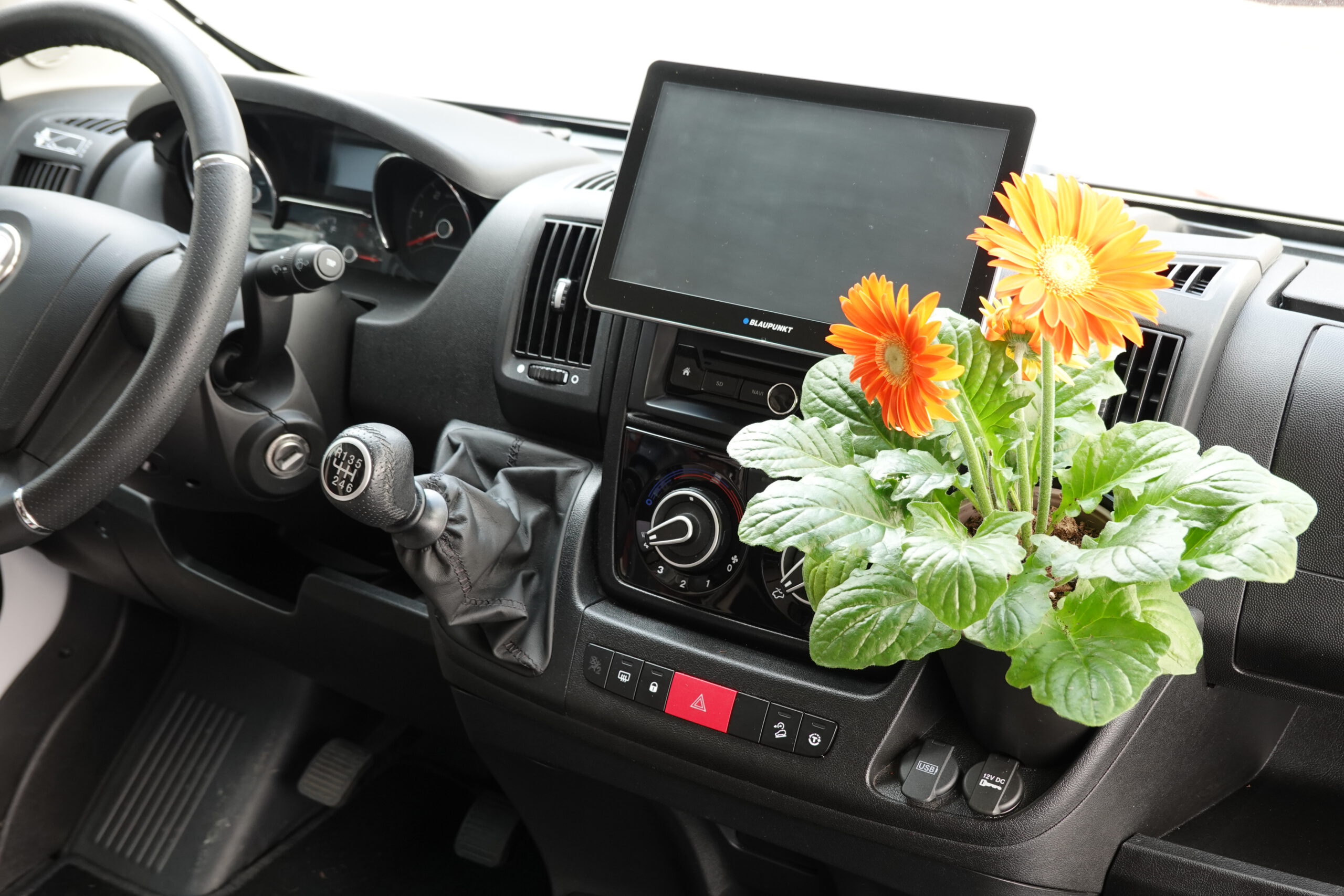 Camperflower Camper Blumentopf im Cockpit eines Fiat Ducato Kastenwagen Camper mit einer Blume bepflanzt