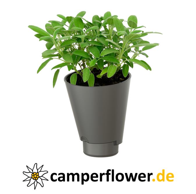 3D Modell camperflower Blumentopf für den Camper mit camperflower logo