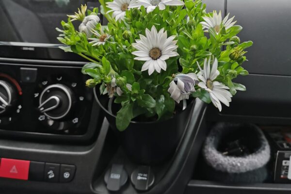 IMG-20220506-WA0010
