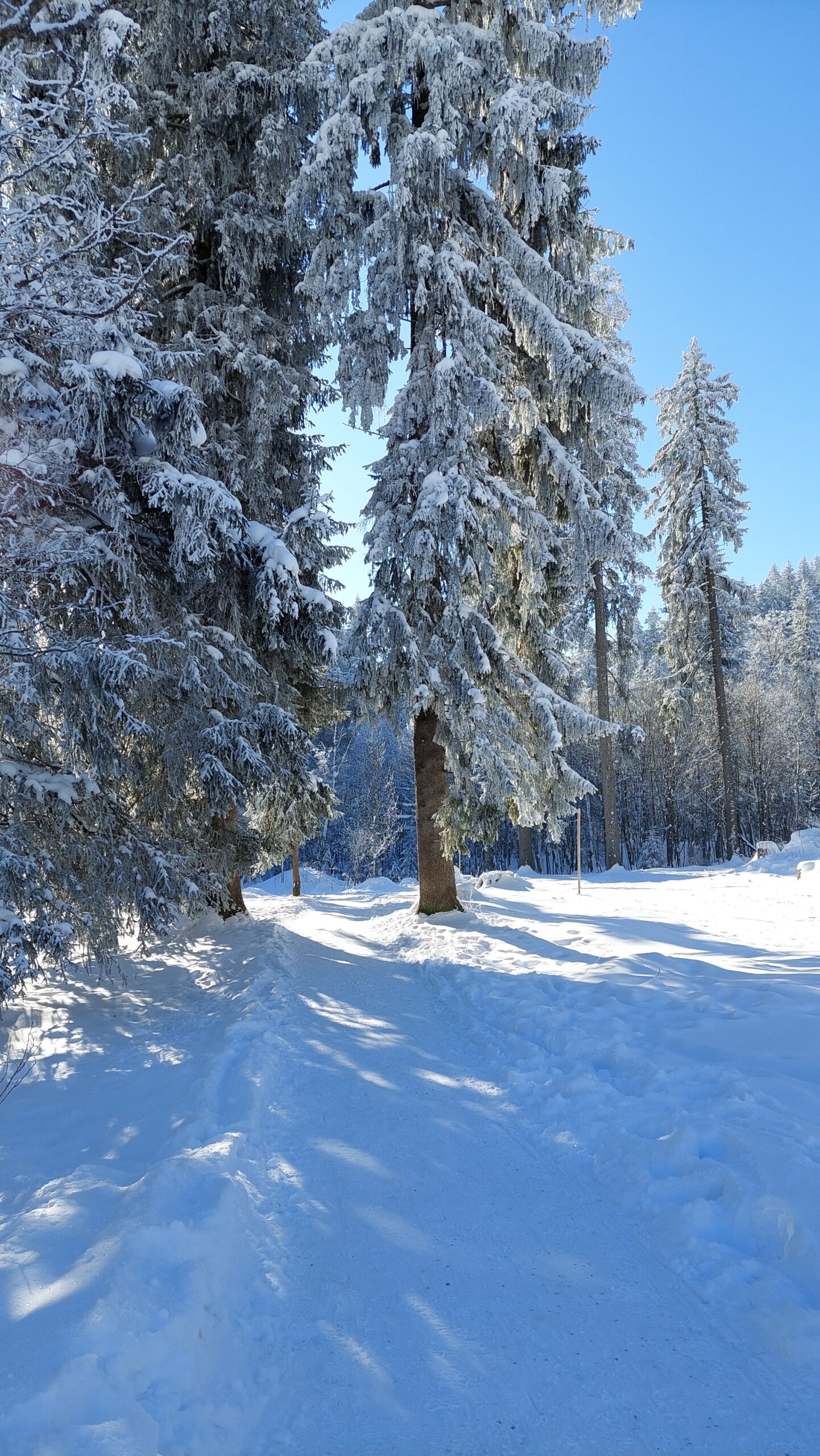 Rundweg um den Spitzingsee
