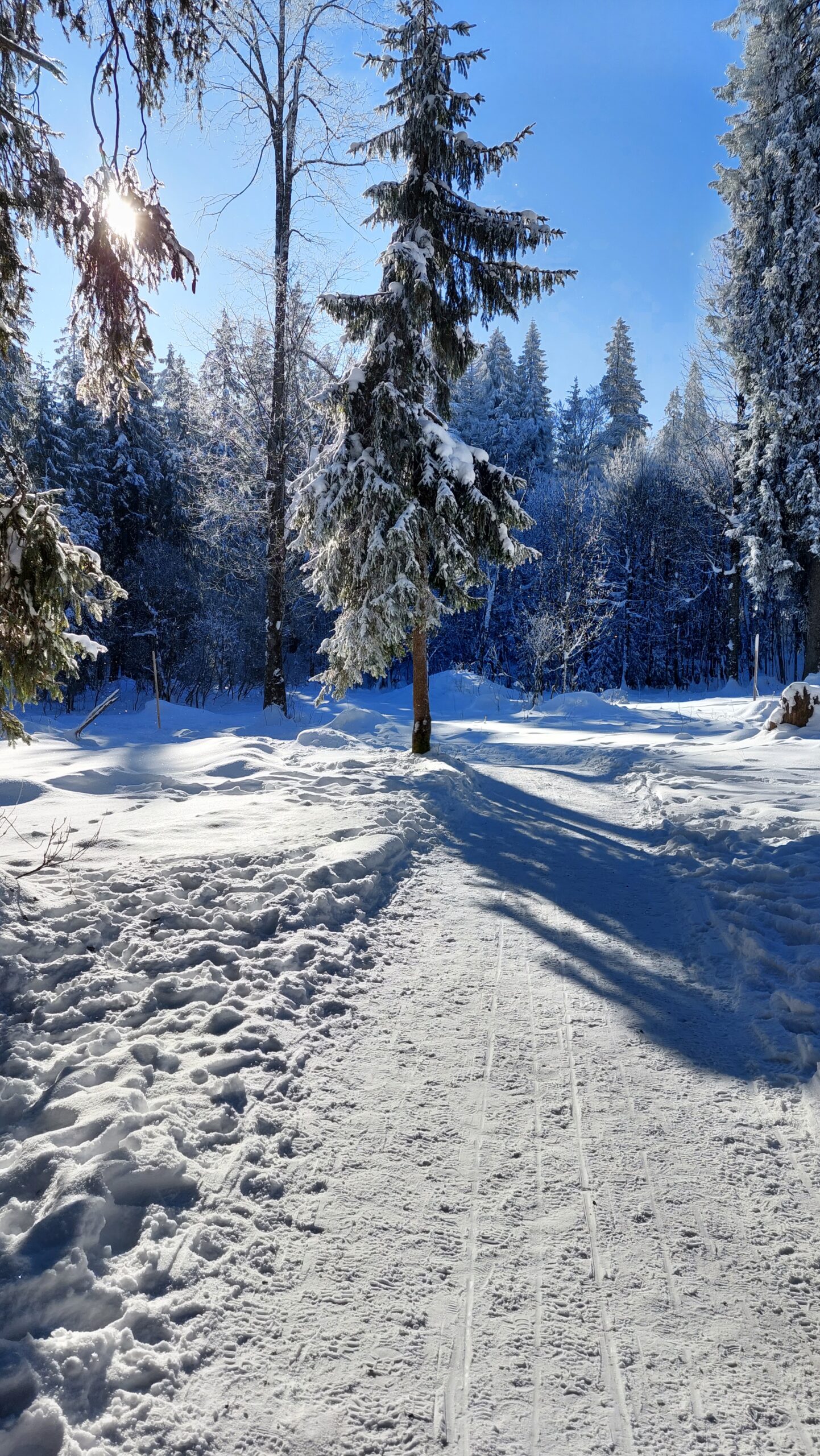 Rundweg um den Spitzingsee